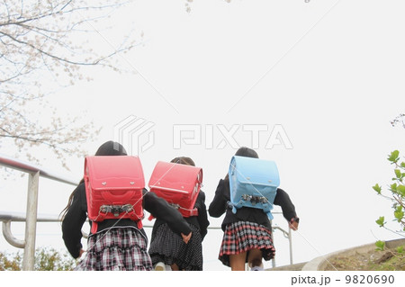 階段を駆け上がる新一年生の女の子たち 9820690