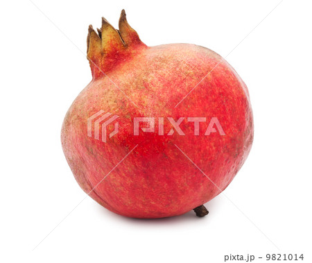 Pomegranate 9821014