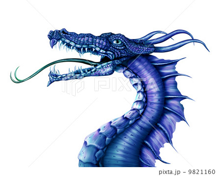 Blue Dragon 9821160