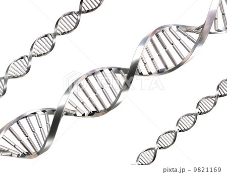 Isolated DNA Strands 9821169