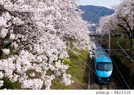 御殿場線 山北の桜並木を行く小田急ロマンスカー 形 Mse の写真素材