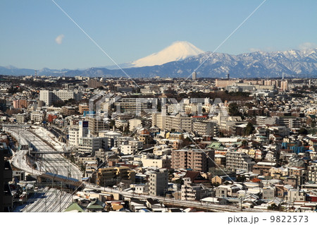 新子安からの富士山 新子安からの富士山 9822573