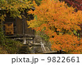 山寺 9822661