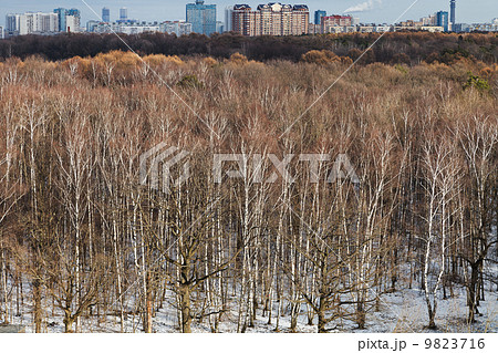 cityscape with spring thawing in park 9823716