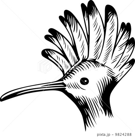 Head of a Bird Head of a Bird 9824288