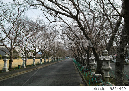 特攻平和観音堂 知覧特攻平和会館 参道 特攻平和観音堂 知覧特攻平和会館 参道 9824460