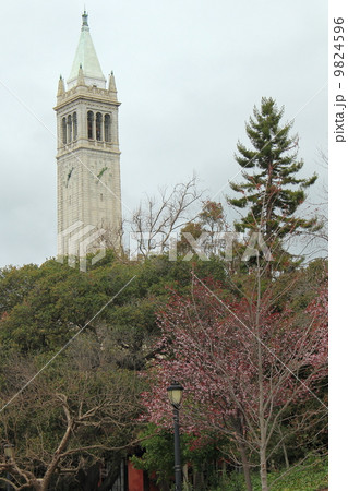 カリフォルニア大学バークレー校 9824596