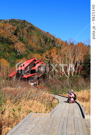 北アルプス　栂池自然園 9825340