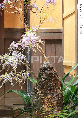 並河靖之七宝記念館 並河靖之七宝記念館 9826559