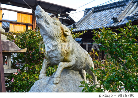 禅居庵(摩利支尊天堂)の「狛猪」（京都市東山区大和大路通四条下ル4丁目小松町） 9826790