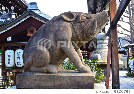 禅居庵(摩利支尊天堂)の「狛猪」(京都市東山区大和大路通四条下ル4丁目小松町) 禅居庵(摩利支尊天堂)の「狛猪」(京都市東山区大和大路通四条下ル4丁目小松町) 9826792