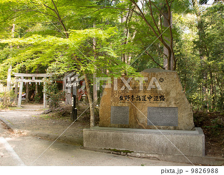 熊野古道 9826988