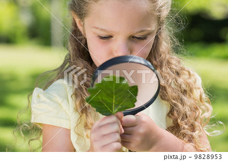 Girl examining leaf with magnifying glass at park Girl examining leaf with magnifying glass at park 9828953