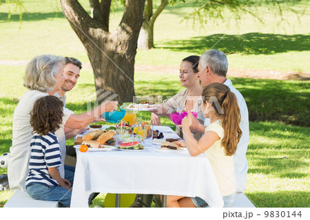 Extended family having lunch in lawn 9830144