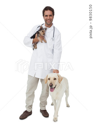 Happy vet smiling at camera with yorkshire terrier and yellow la 9830150
