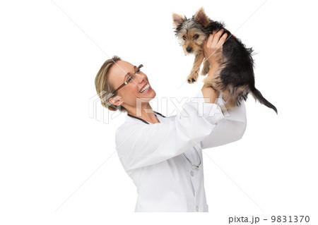 Vet holding up yorkshire terrier puppy and smiling 9831370
