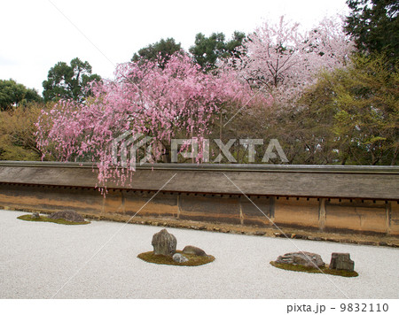 春の龍安寺石庭 9832110