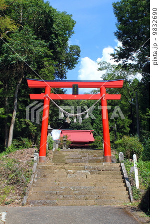 早川厳島神社の赤い鳥居 早川厳島神社の赤い鳥居 9832690