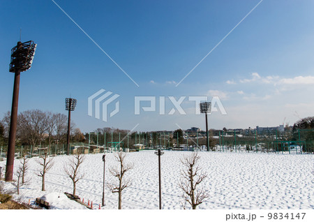 雪の日の野球場 雪の日の野球場 9834147