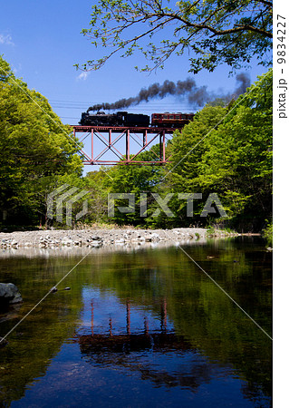 秩父鉄道・新緑の浦山川橋梁を渡るSLパレオエクスプレス号 9834227