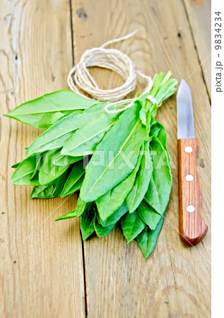 Sorrel with knife and twine on the board 9834234