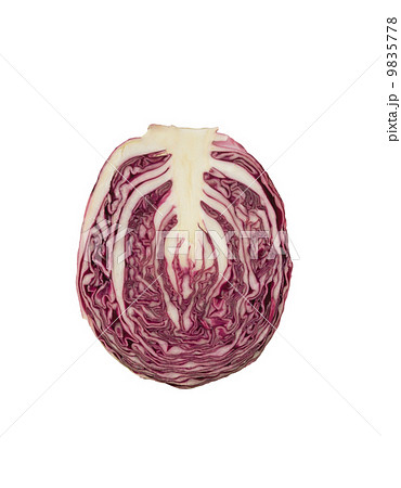 Red Cabbage cross section on White Background 9835778