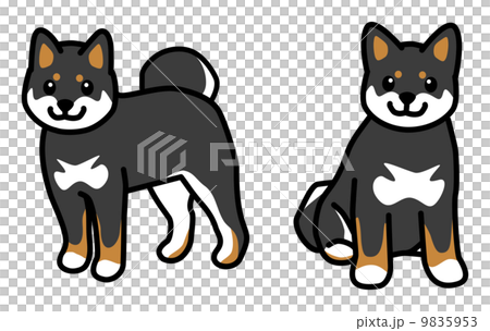 犬　柴犬　イラスト 9835953