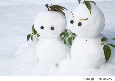 雪だるま 9836525