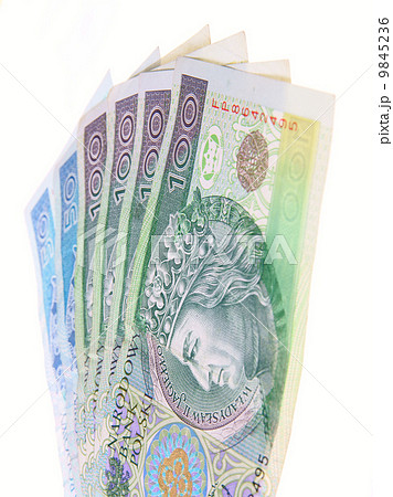 Polish money Polish money 9845236