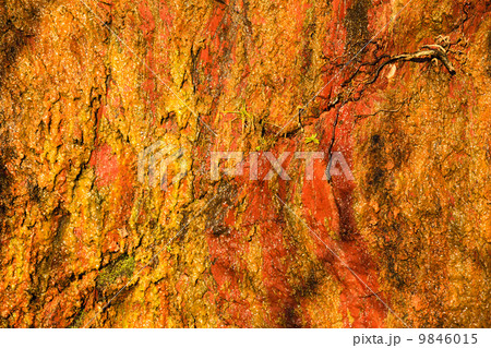 Background of orange wet stone rock wall texture outdoor Background of orange wet stone rock wall texture outdoor 9846015