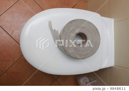 toilet paper in bathroom 9848611