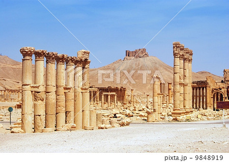 ancient Palmyra, Syria 9848919