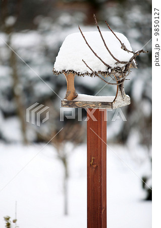 the bird feeder in winter the bird feeder in winter 9850127