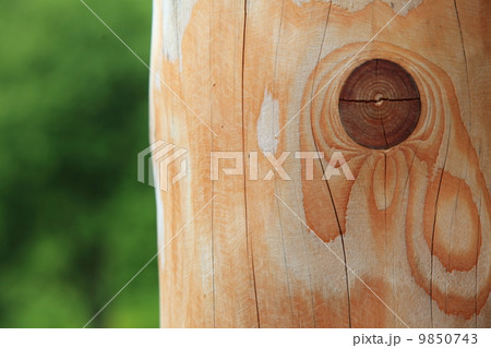 Wooden knotted plank green bokeh background 9850743