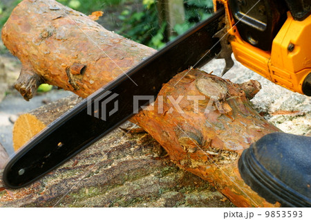 Man cutting piece Man cutting piece 9853593