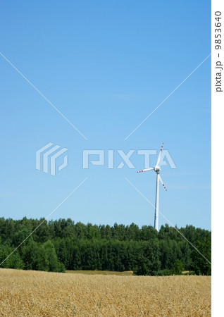 Wind power turbine blue sky and fields of corn 9853640