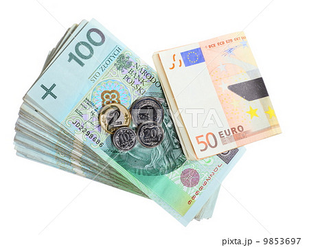 Economy and finance. Polish and euro banknote isolated 9853697
