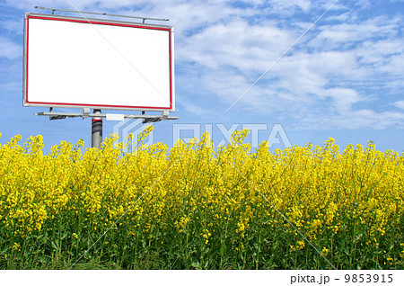 Blank white billboard in a rapeseed field Blank white billboard in a rapeseed field 9853915