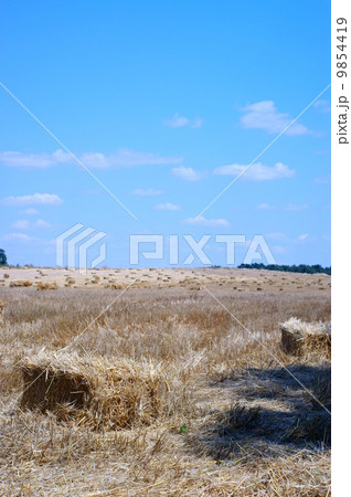 Haystack in a wheat field - harvest 9854419