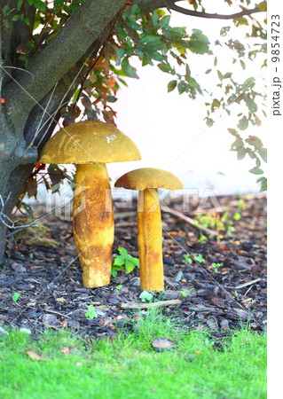 Mushroom on the grass. Decor. Mushroom on the grass. Decor. 9854723