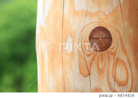 Wooden knotted plank green bokeh background 9854826