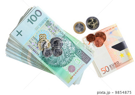 Economy and finance. Polish and euro banknote isolated 9854875