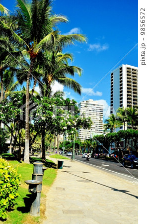 ハワイの休日 9856572