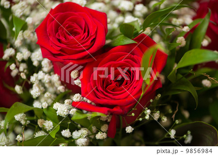 Nice roses in celebration concept 9856984