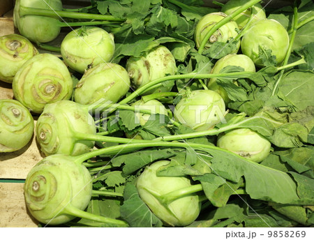 green radish in supermarket green radish in supermarket 9858269