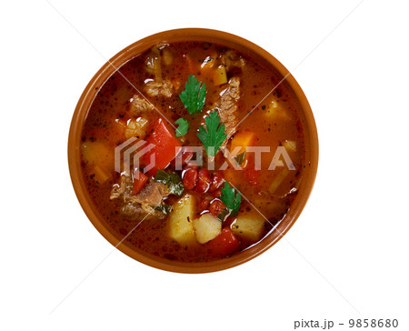 Eintopf -Traditional german cuisine dish. 9858680