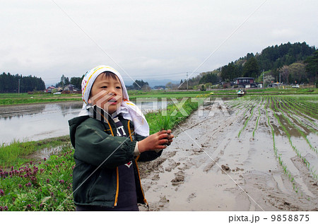 子供の田植え風景 9858875