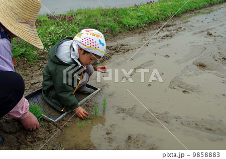 子供の田植え風景 9858883