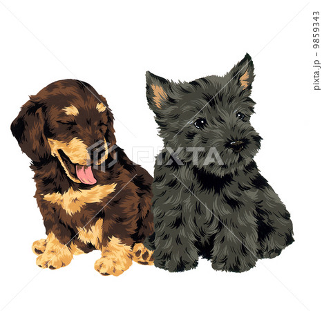 可愛い犬 9859343