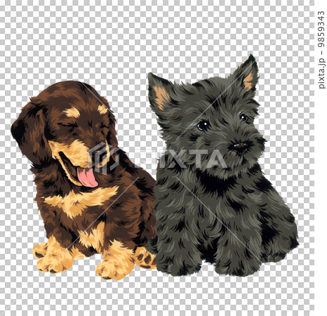 可愛い犬 9859343